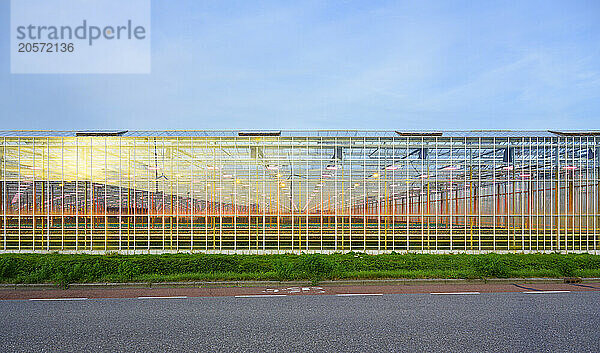 Illuminated greenhouse at roadside in south Netherlands