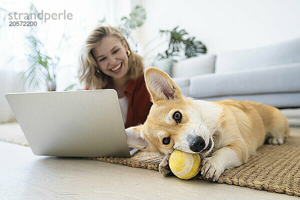 Dog playing with ball near freelancer working from home