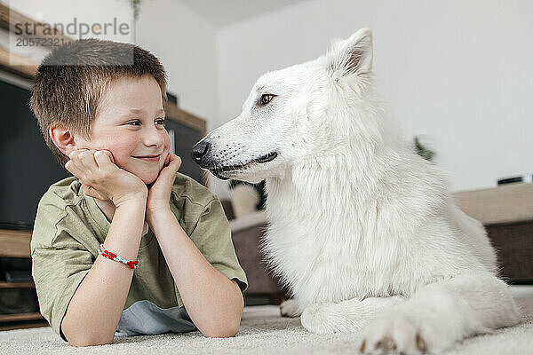 Cute boy looking swiss shepherd dog and lying down at home