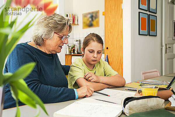 Senior woman helping grandson in doing homework at home