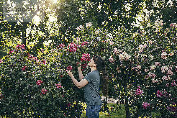 Woman smelling rose in garden on sunny day