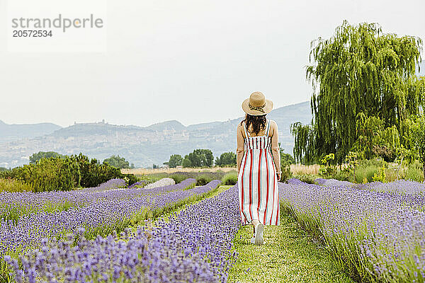 Woman walking through lavender field