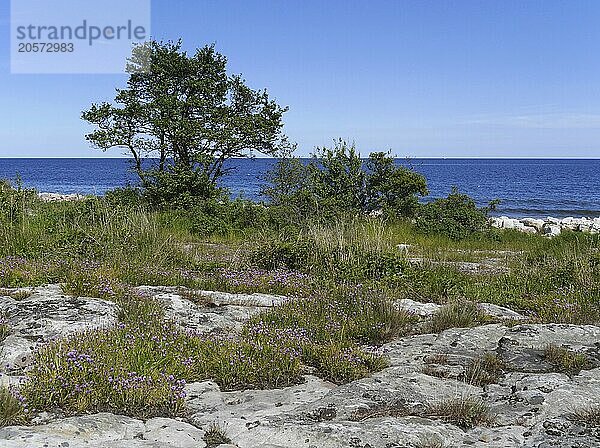 Baltic coast near Simrishamn