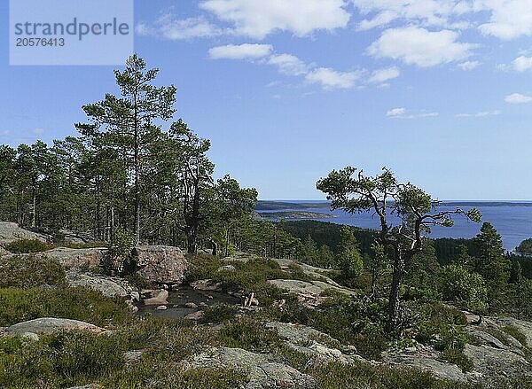 Coastal landscape at Höga Kusten near Mjältön