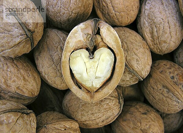 Walnuts