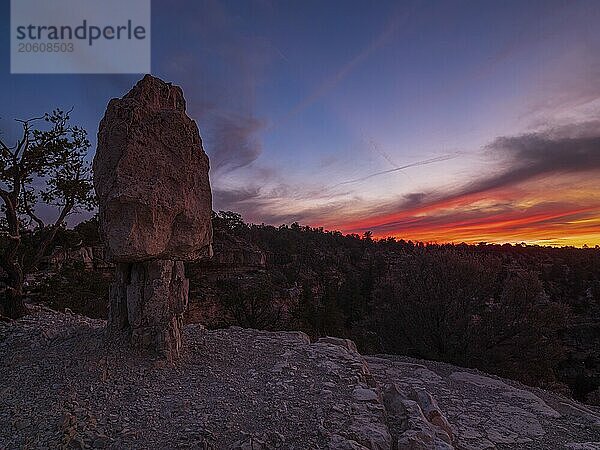 Twilight and the moon from Shoshone Point overlook on the South Rim of the Grand Canyon National Park  Arizona  Southwest USA