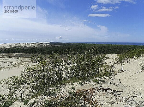 Parnidden Dune  Nida  Curonian Spit  Lithuania  Europe