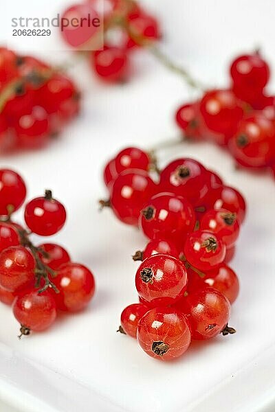 Red currant on white background