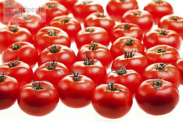 Lots of tomatoes isolated on white