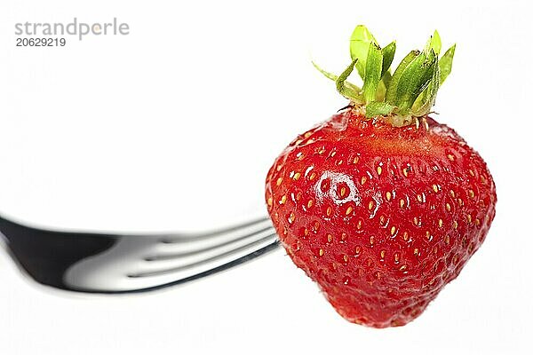 Single strawberry on a fork isolated on white