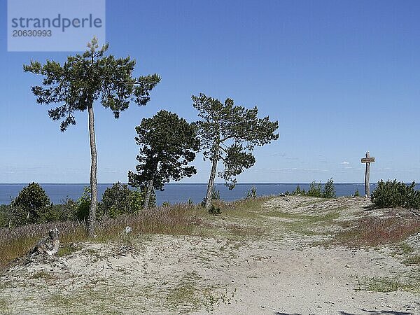 Vecekrugo Dune  Curonian Spit in Lithuania