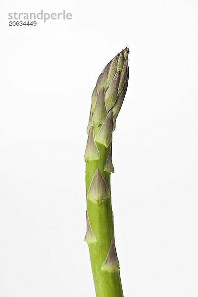 Green asparagus isolated on white background