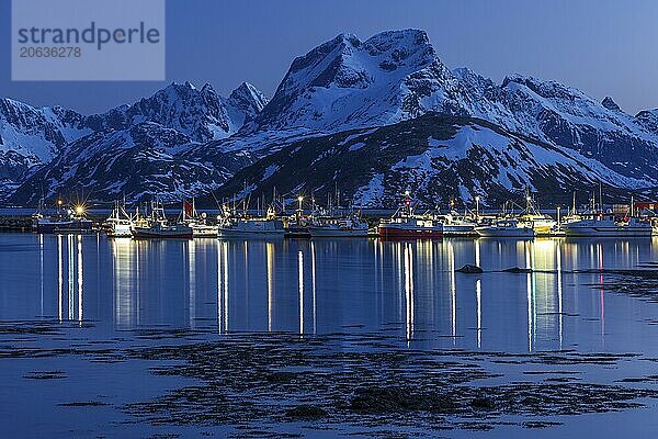 Blue hour  harbour and boats in front of steep mountains  reflection  Fredvang  Moskenesoya  Lofoten  Norway  Europe