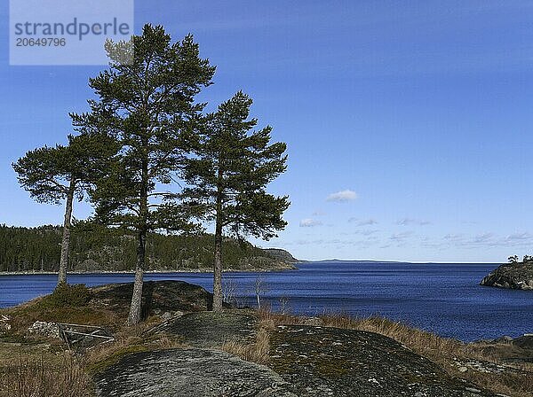 Höga Kusten near Bönhamn