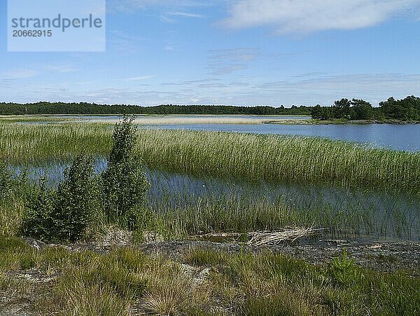 Landscape at Lake Vänern in Sweden