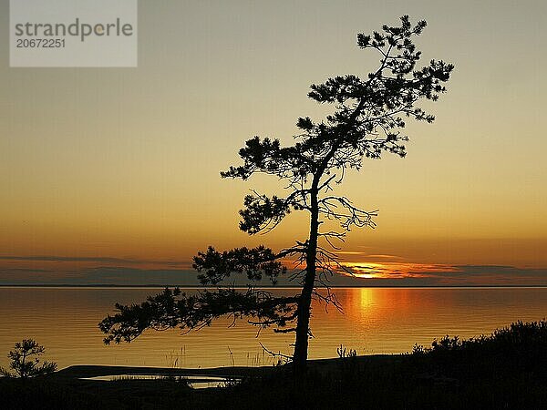 Evening mood on the island of Djurö in Lake Vänern. evening mood at lake vänern in sweden