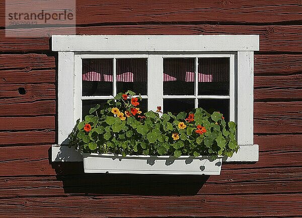 Window of a wooden hut in Sweden