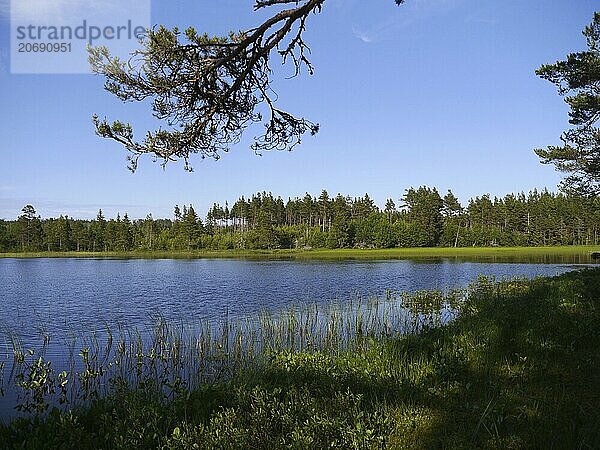 Small lake on Agön