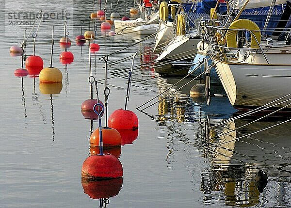 The marina in Dragsö of the sailing club of Karlskrona  Sweden  Europe