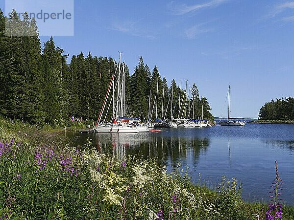 Sailboats at anchor in Baggviken