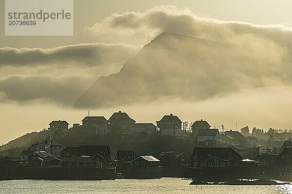 Village with houses in the fog  backlight  sea fog  A i Lofoten  Lofoten  Norway  Europe