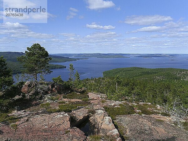 From Wikipedia: Mjältön is an island in the centre of the High Coast in Sweden. Mjältön is the highest island in Sweden  with an altitude of 236 metres above sea level