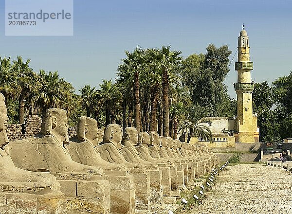 Avenue of sphinxes in front of the temple  causeway lined by sphinxes