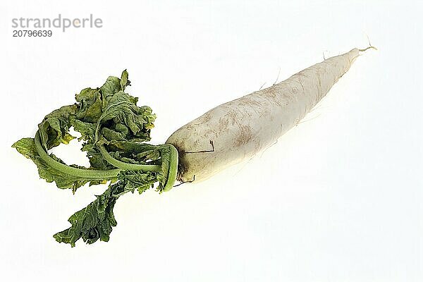 White radish isolated on white background