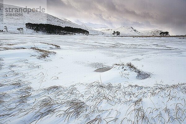 Frozen Loch Droma backed by Meall Breac  Dirrie More  Scottish Highlands  Scotland  United Kingdom  Europe