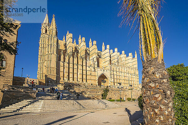 View of Cathedral-BasA­lica de Santa MarA­a de Mallorca  Palma de Mallorca  Majorca  Balearic Islands  Spain  Mediterranean  Europe