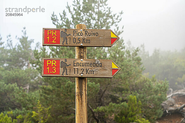 Trail signs showing directions to Pico Ruivo and Encumeada  Santana  Madeira  Portugal  Atlantic  Europe