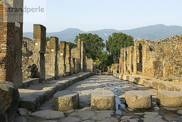 Stepping stones above perpetually flowing water needed to cross street and keep the way clear for carts  archaeological site of Pompeii  UNESCO World Heritage Site  province of Naples  Campania  Italy  Europe