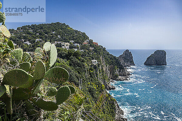 View over the coastline from the Botanical Garden  Island of Capri  Gulf of Naples  Campania  Italy  Europe