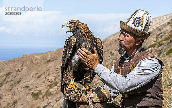 Traditional Kyrgyz eagle hunter with eagle in the mountains  hunting  near Bokonbayevo  Issyk Kul region  Kyrgyzstan  Asia