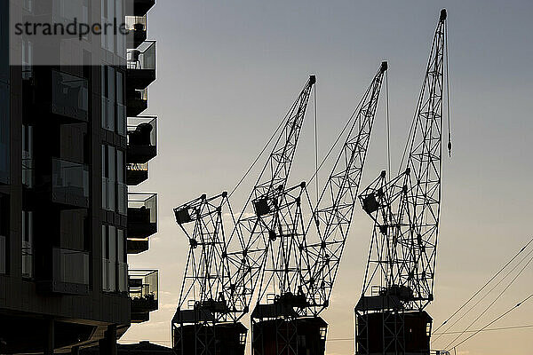 Modern apartment blocks  cranes  Tjuvholmen  Aker Brygge  Oslo  Norway  Europe