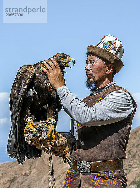 Traditional Kyrgyz eagle hunter with eagle in the mountains  hunting  near Bokonbayevo  Issyk Kul region  Kyrgyzstan  Asia