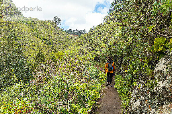 Woman walking along a path in the Laurisilva forest of Los tilos de Moya  Gran Canaria