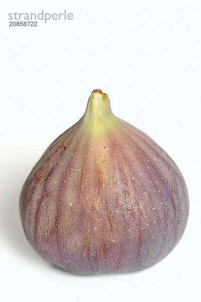 Real fig or fig tree (Ficus carica)  ripe fig against a white background