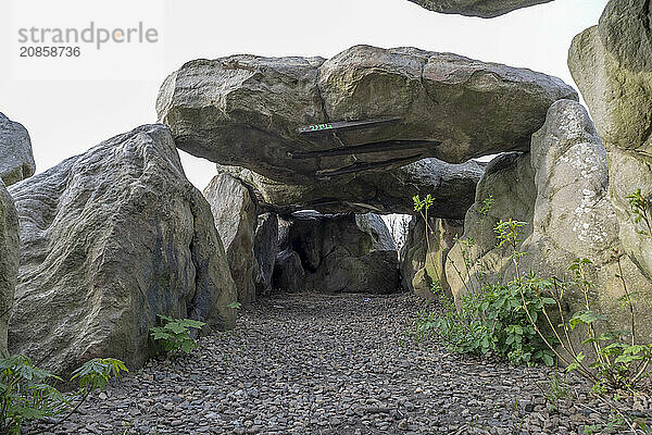 Lübbensteine  two megalithic tombs from the Neolithic period around 3500 BC on the Annenberg near Helmstedt  here the northern grave B (Sprockhoff no. 315)  Helmstedt  Lower Saxony  Germany  Europe