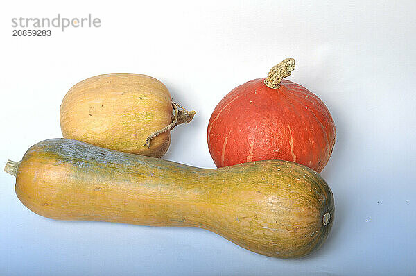 Squash on a white background