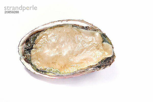 An opened fresh abalone isolated on a white background  abalone