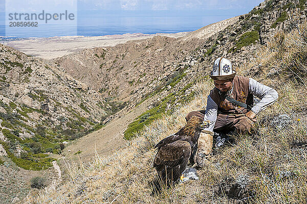 Traditional Kyrgyz eagle hunter with eagle in the mountains  hunting  eagle with captured rabbit  near Bokonbayevo  Issyk Kul region  Kyrgyzstan  Asia