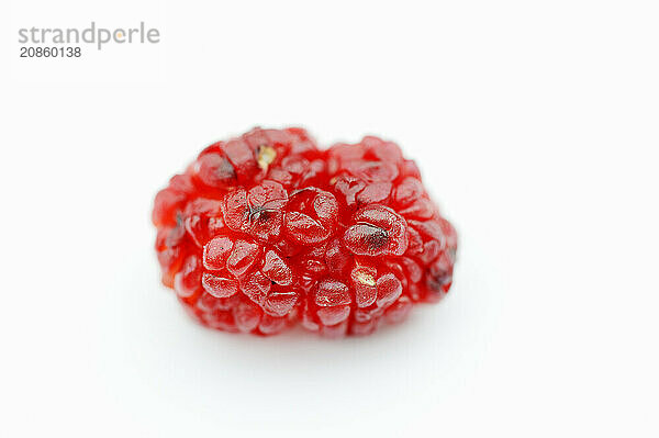 Strawberry spinach (Chenopodium foliosum  Blitum virgatum)  fruit on a white background  vegetable and ornamental plant