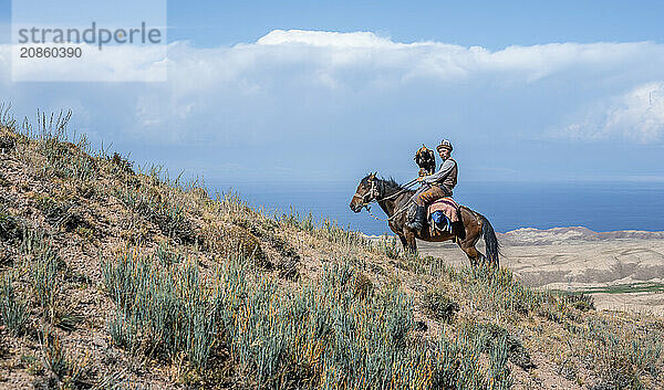 Traditional Kyrgyz eagle hunter riding with eagle in the mountains  hunting on horseback  near Bokonbayevo  Issyk Kul region  Kyrgyzstan  Asia