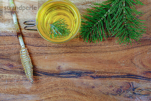 Top view of a infusion of medicinal plant  horsetail Equisetum arvense with fresh branches for health care on a wooden table