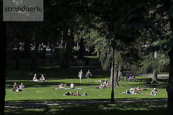 Park  Oslo  Norway  Europe