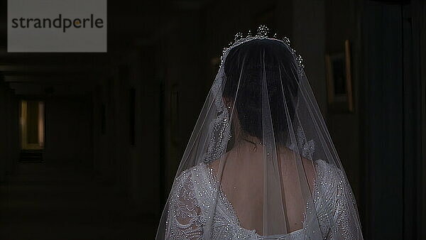 Beautiful bride in a wedding dress with a veil on her head