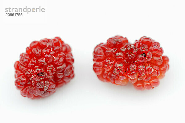 Strawberry spinach (Chenopodium foliosum  Blitum virgatum)  fruits on a white background  vegetable and ornamental plant