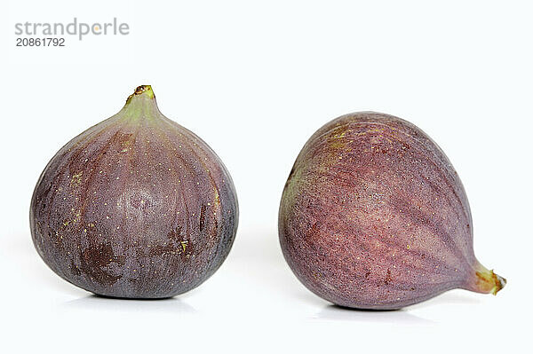 Real fig or fig tree (Ficus carica)  ripe figs against a white background