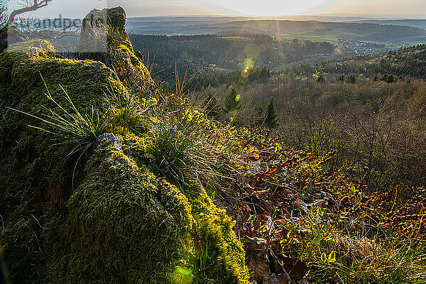 Panorama of a romantic landscape at sunset in the evening light. beautiful spring landscape in the mountains. Lawn and rolling hills. View from a cliff to the horizon. The Great Peak  Hesse  Germany  Europe